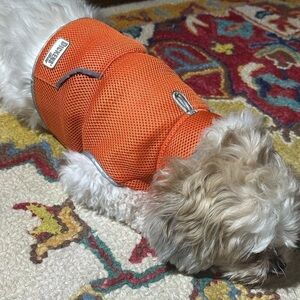 Dickens Closet Dog Reflective Safety Vest Size M Visible Night or Day